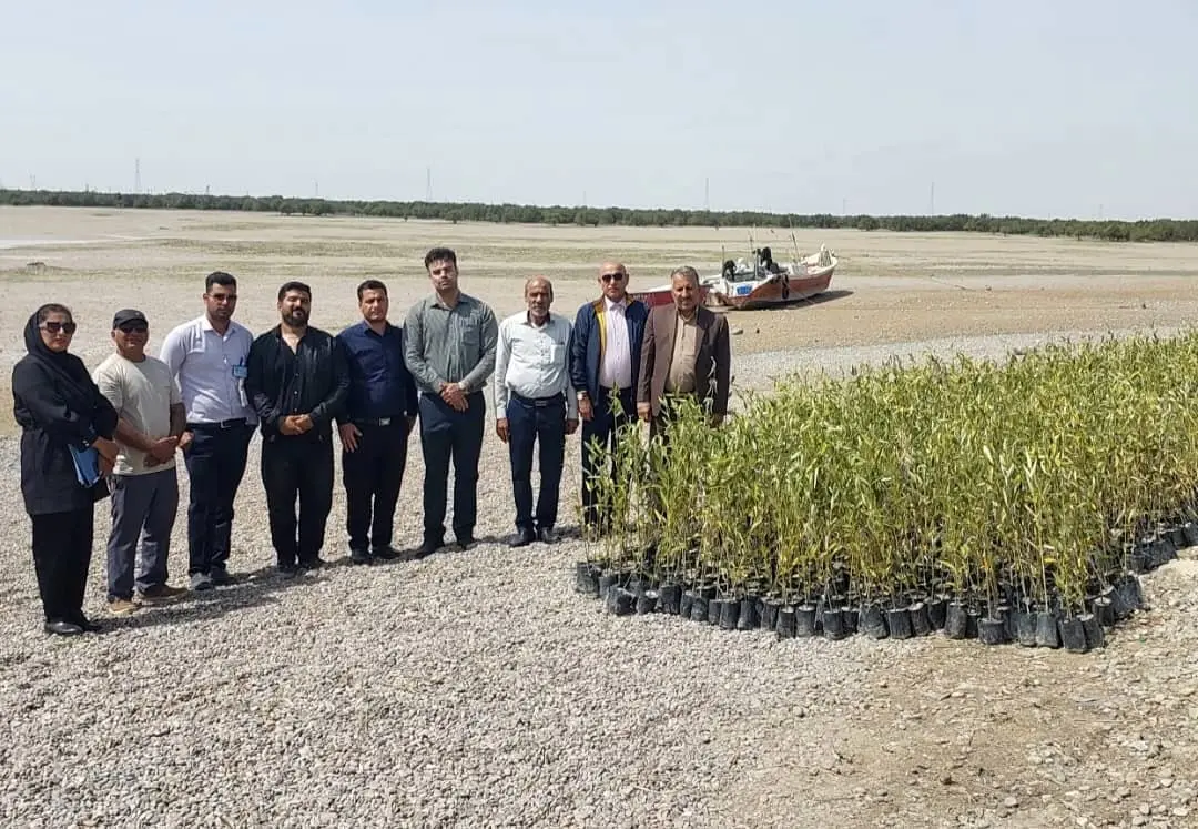 آغاز پروژه بزرگ کاشت نهال حرا توسط شرکت پتروشیمی کارون