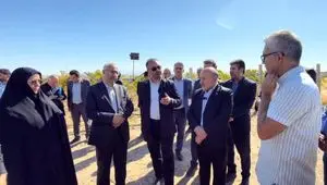 طلوع امید در دشت ارس؛ کشت موفق انگور در مزرعه ۴۰۰ هکتاری قِیقاج