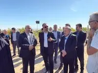 طلوع امید در دشت ارس؛ کشت موفق انگور در مزرعه ۴۰۰ هکتاری قِیقاج