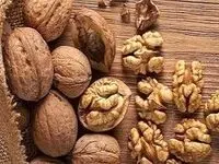گردو با این خاصیت عجیبش! 