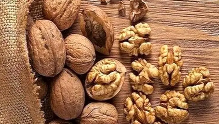 گردو با این خاصیت عجیبش! 