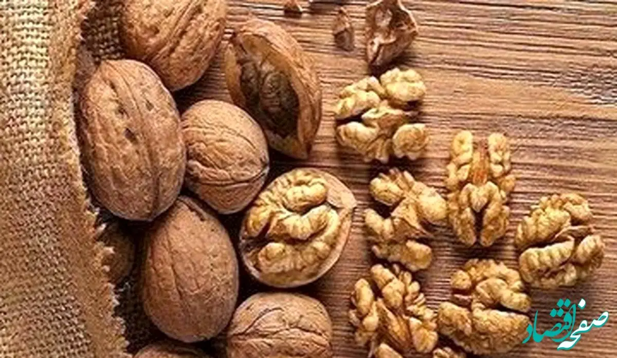 گردو با این خاصیت عجیبش! 