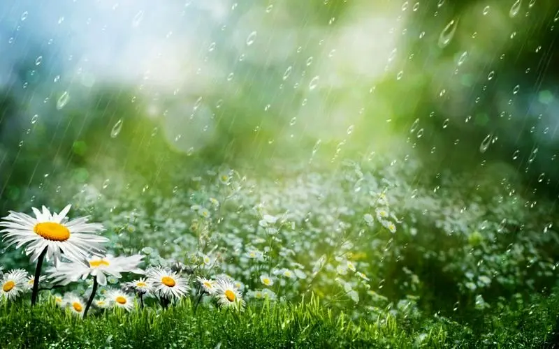 وضعیت بارش در استان ها فردا چهارشنبه ۲۲ شهریور ماه ۱۴٠۲ | آخرین وضعیت هواشناسی استان ها