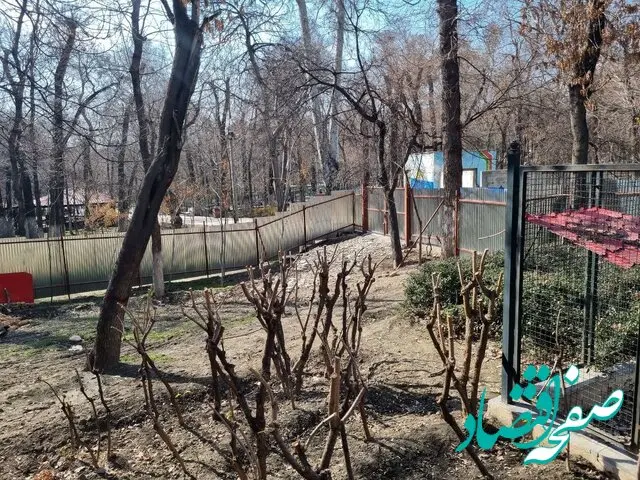 توضیح سخنگوی شهرداری تهران درباره ساخت مسجد در پارک قیطریه