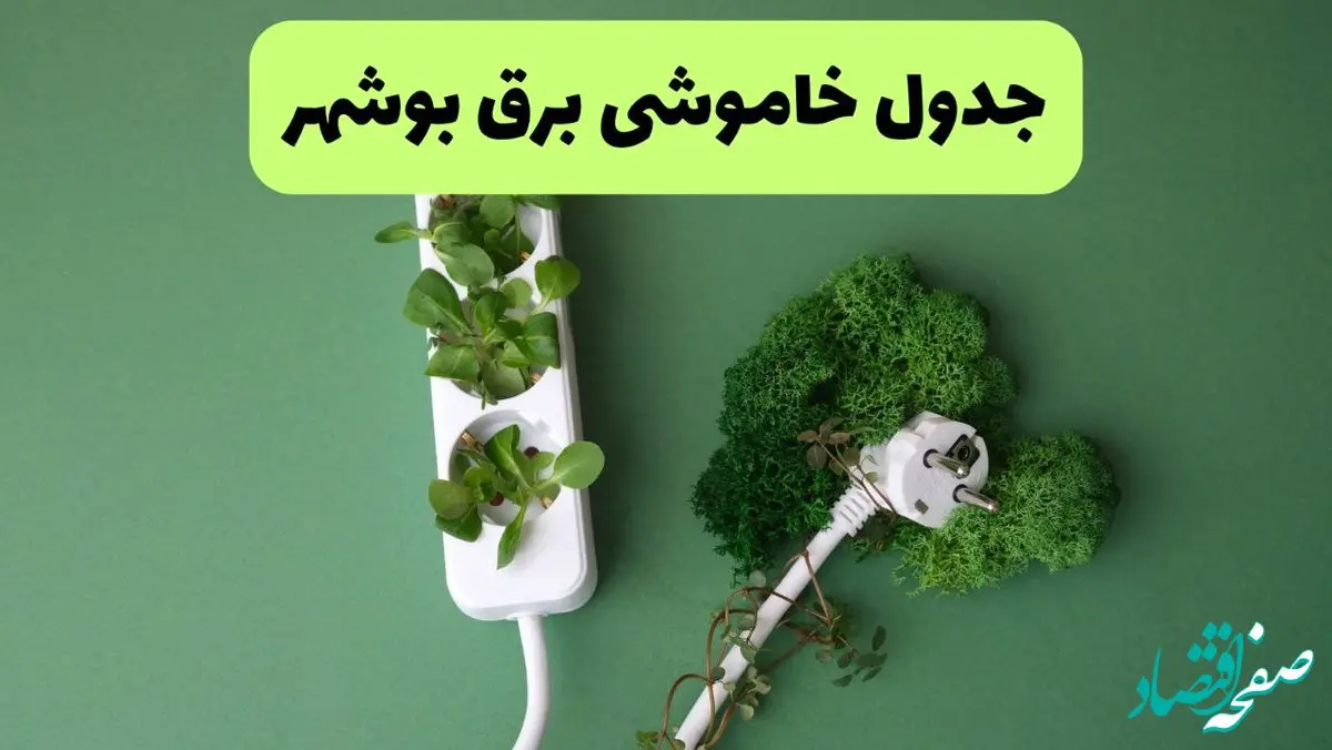 جدول قطعی برق بوشهر فردا دوشنبه ۲۷ مرداد ماه ۱۴۰۴ + برنامه زمانبندی قطعی برق بوشهر دوشنبه ابلاغ شد