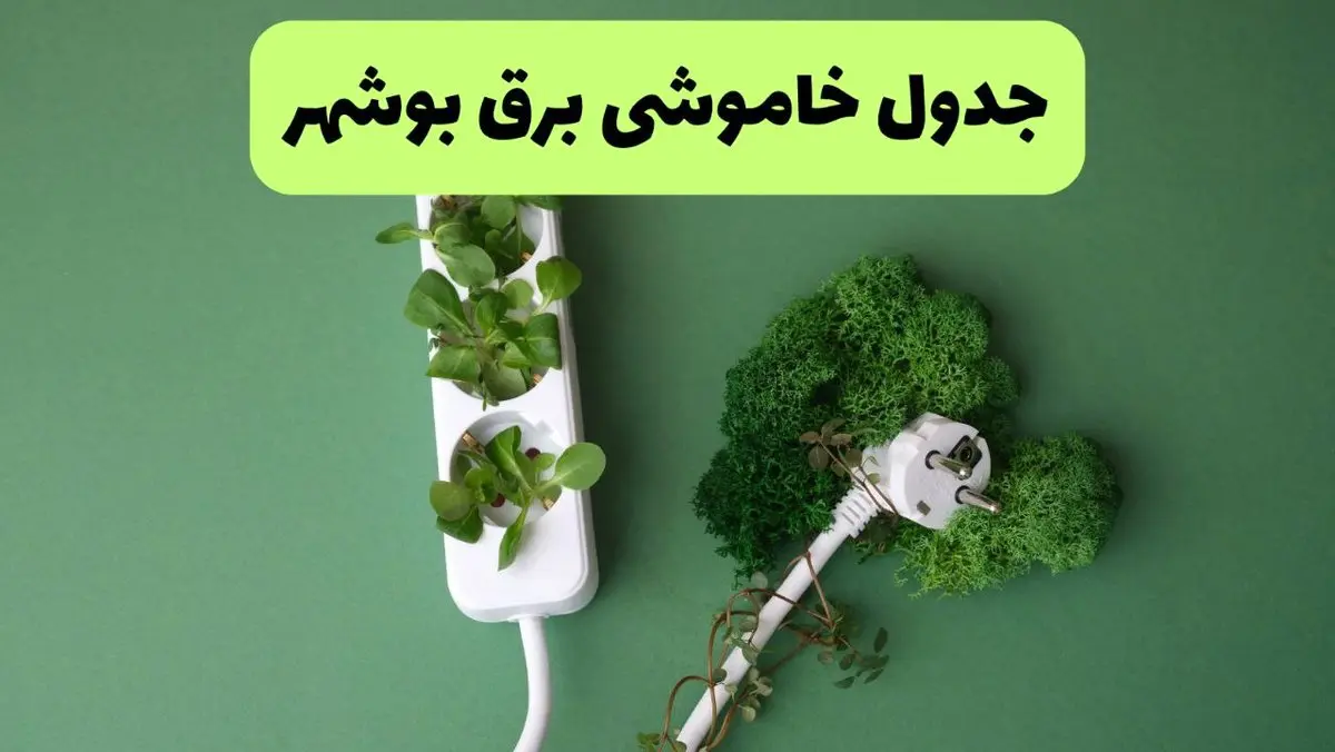 جدول قطعی برق بوشهر فردا دوشنبه ۲۷ مرداد ماه ۱۴۰۴ + برنامه زمانبندی قطعی برق بوشهر دوشنبه ابلاغ شد
