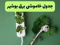 جدول قطعی برق بوشهر فردا دوشنبه ۲۷ مرداد ماه ۱۴۰۴ + برنامه زمانبندی قطعی برق بوشهر دوشنبه ابلاغ شد