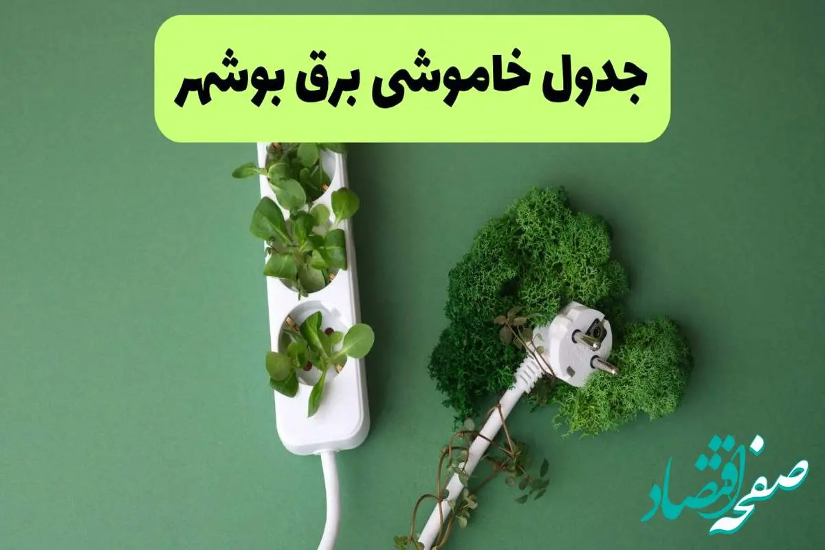جدول قطعی برق بوشهر امروز یکشنبه ۱۹ مرداد ماه ۱۴۰۴ + برنامه قطعی برق بوشهر یکشنبه منتشر شد