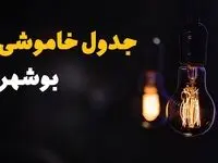 جدول زمان‌بندی قطع برق بوشهر سه‌ شنبه ۶ خرداد ۱۴۰۴ + برنامه قطعی برق شهرهای استان بوشهر سه‌شنبه ۶ خرداد ۱۴۰۴ + ساعت خاموشی برق بوشهر