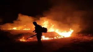 محیط‌بانان کرمانشاه از گسترش آتش به زیستگاه آهوی ایرانی جلوگیری کردند