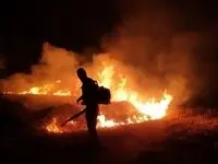 محیط‌بانان کرمانشاه از گسترش آتش به زیستگاه آهوی ایرانی جلوگیری کردند