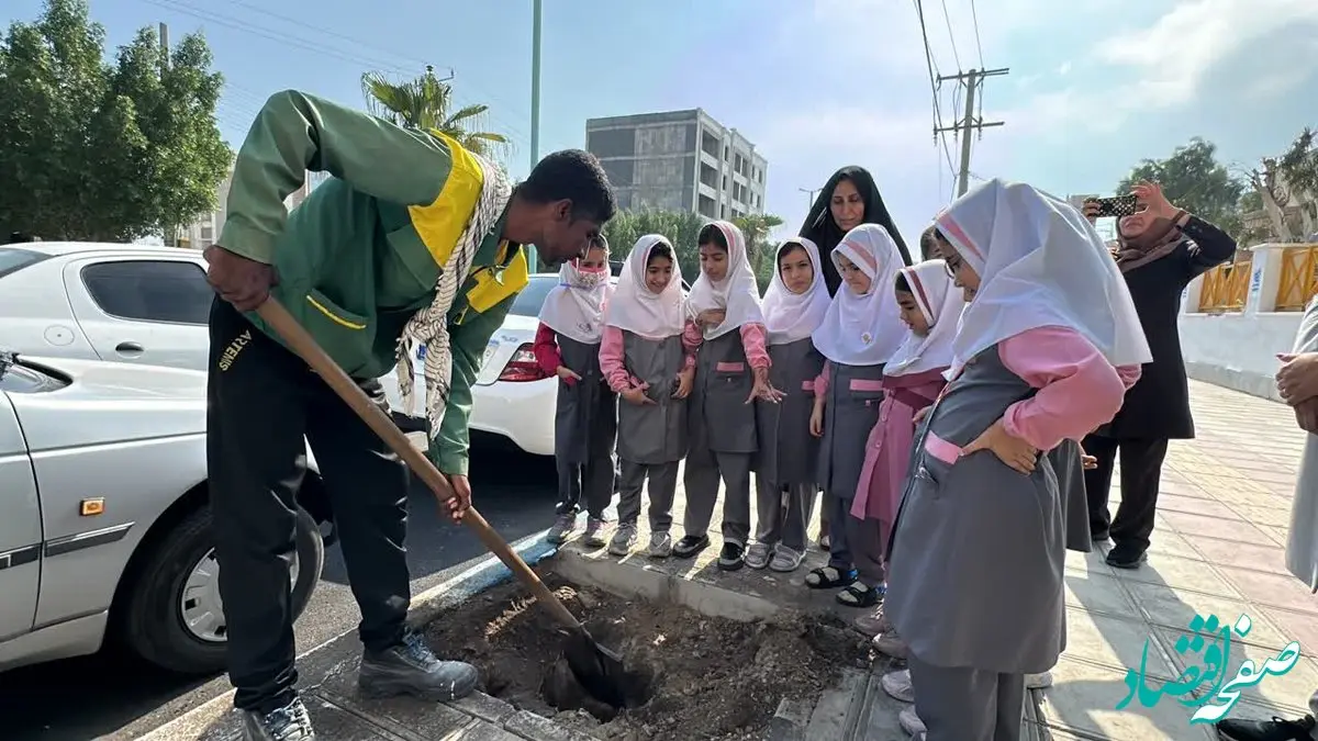 بیش از 3000 اصله درخت در قشم کاشته و توزیع شد