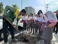 بیش از 3000 اصله درخت در قشم کاشته و توزیع شد