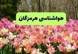 خبر فوری هواشناسی هرمزگان ۲۴ ساعت آینده | پیش بینی وضعیت آب و هوا هرمزگان فردا شنبه ۱۷ خرداد ماه ۱۴۰۴ 