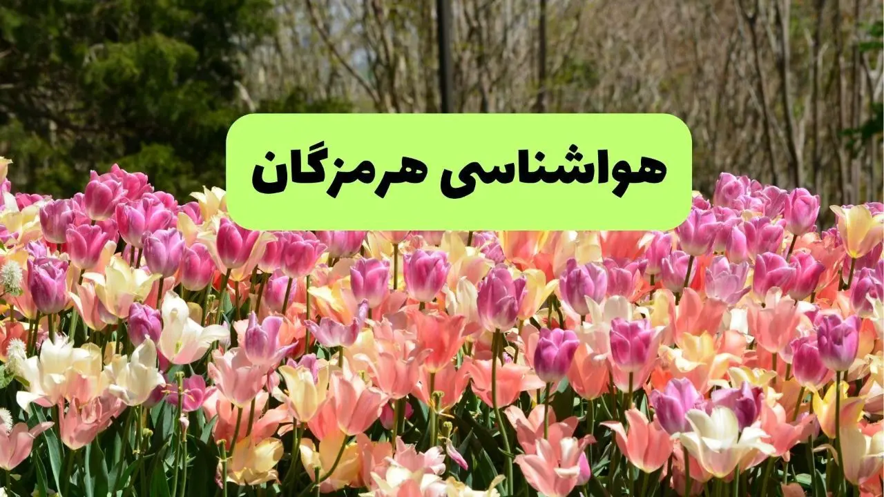 پیش بینی وضعیت آب و هوا هرمزگان پنجشنبه ۲۲ خرداد ماه ۱۴۰۴ + هواشناسی هرمزگان 