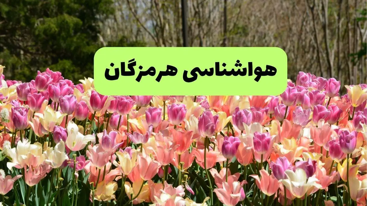 پیش بینی وضعیت آب و هوا هرمزگان فردا جمعه ۲۰ تیر ۱۴۰۴ | هواشناسی هرمزگان ۲۴ ساعت آینده اعلام شد