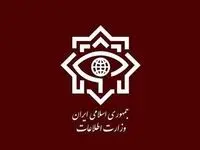 وزارت اطلاعات: شناسایی و بازداشت ۴۶ مزدور دشمن آمریکایی و اسرائیلی در پنج استان ایران
