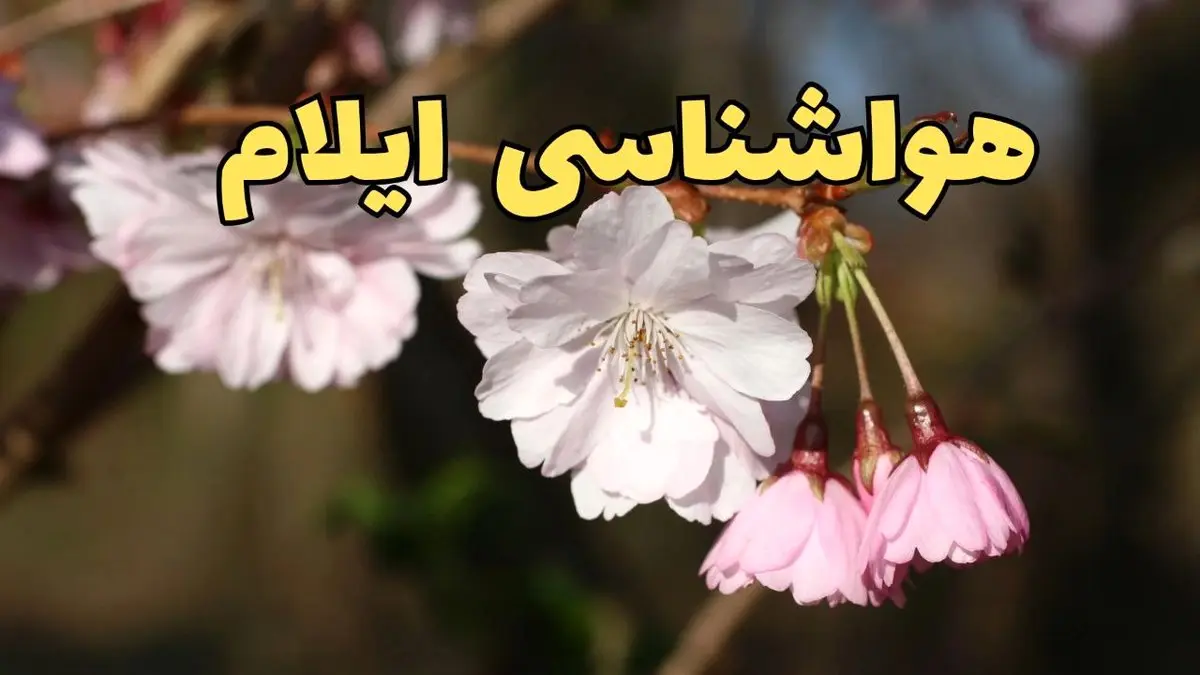 پیش بینی هواشناسی ایلام ۲۴ ساعت آینده | وضعیت آب و هوا ایلام فردا سه شنبه ۱۲ فروردین ماه ۱۴۰۴ | آب و هوای ایلام در روز ۱۳ بدر 