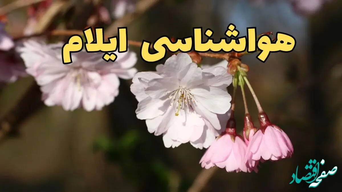 پیش بینی هواشناسی ایلام ۲۴ ساعت آینده | وضعیت آب و هوا ایلام فردا سه شنبه ۱۲ فروردین ماه ۱۴۰۴ | آب و هوای ایلام در روز ۱۳ بدر 