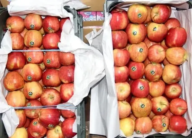 جدیدترین قیمت عمده فروشی میوه و سبزیجات تا ۲ فروردین ۱۴۰۵ اعلام شد