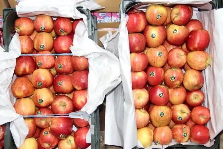 جدیدترین قیمت عمده فروشی میوه و سبزیجات تا ۲ فروردین ۱۴۰۵ اعلام شد