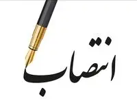 محمد جلیلی مدیرعامل جدید سازمان حسابرسی کیست؟