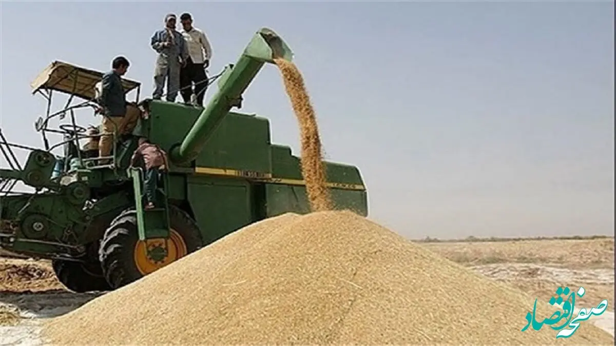 این خبر جدید را گندمکاران باید حتما بخوانند | خبرای خوبی در راه است
