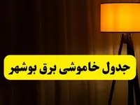 جدول خاموشی برق بوشهر فردا دوشنبه ۲۲ اردیبهشت ۱۴۰۴ | ساعت قطعی برق شهرستان‌ های استان بوشهر دوشنبه بیست و دوم اردیبهشت ۱۴۰۴ + برنامه قطع برق بوشهر