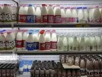سقوط تاریخی تقاضا و هشدار درباره تصمیمات غیرکارشناسی دولت