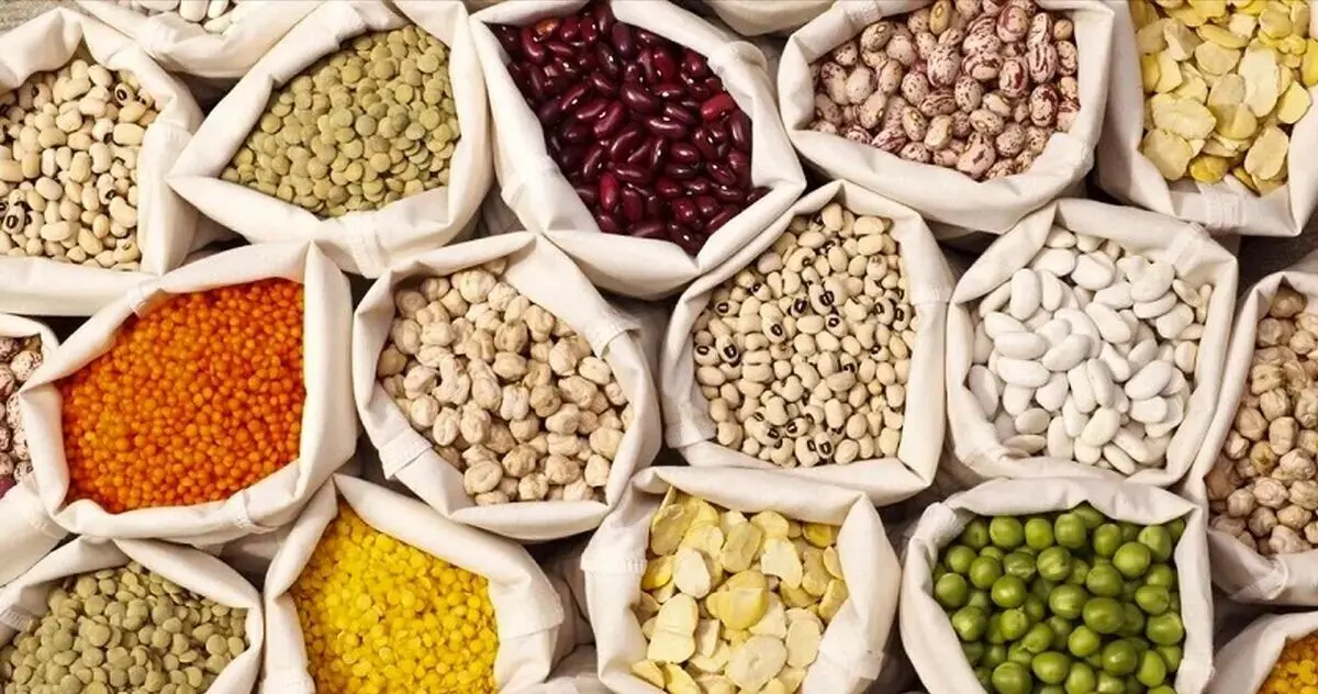 تقاضای مواد غذایی پس از ارائه کالابرگ چند درصد افزلیش یافت؟ 