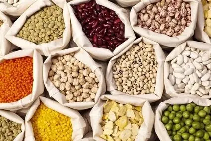 خبر مهم وزارت جهاد کشاورزی درباره ذخایر غذایی ایران