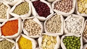 خبر مهم وزارت جهاد کشاورزی درباره ذخایر غذایی ایران