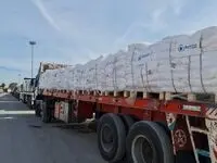 تخصیص سوخت مضاعف به رانندگان کالاهای اساسی 