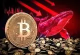 انباشت رکوردشکن نهنگ‌ها در کف ۶۴ هزار دلاری؛ ۳۵.۸٪ بازار در اختیار ۲۰۴۴ کیف‌پول