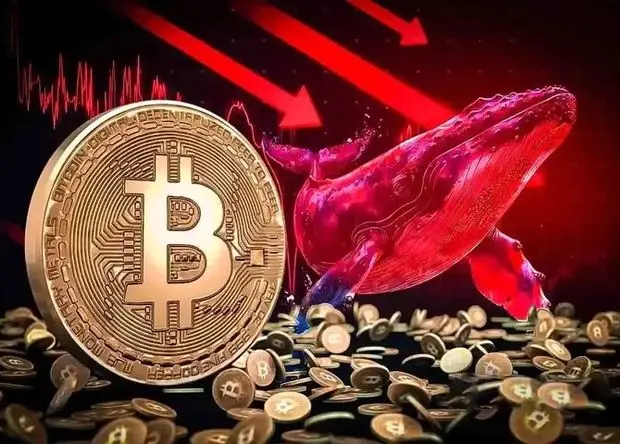انباشت رکوردشکن نهنگ‌ها در کف ۶۴ هزار دلاری