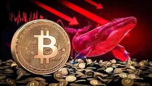 انباشت رکوردشکن نهنگ‌ها در کف ۶۴ هزار دلاری