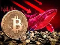 انباشت رکوردشکن نهنگ‌ها در کف ۶۴ هزار دلاری