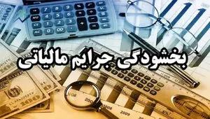 راه اندازی سامانه بخشودگی جرایم مالیاتی؛ فرصت ویژه تا ۲۸ بهمن ۱۴۰۴