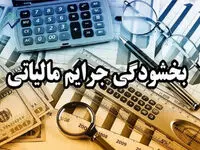 راه اندازی سامانه بخشودگی جرایم مالیاتی؛ فرصت ویژه تا ۲۸ بهمن ۱۴۰۴