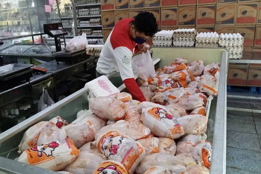جدیدترین قیمت گوشت مرغ امروز ۹ مرداد ۱۴۰۵
