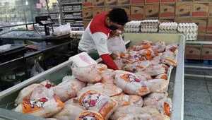 جدیدترین قیمت گوشت مرغ امروز ۹ مرداد ۱۴۰۵