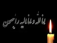 پیام تسلیت مدیرعامل شرکت فولاد اکسین خوزستان در پی حادثه واژگونی اتوبوس زائران اربعین