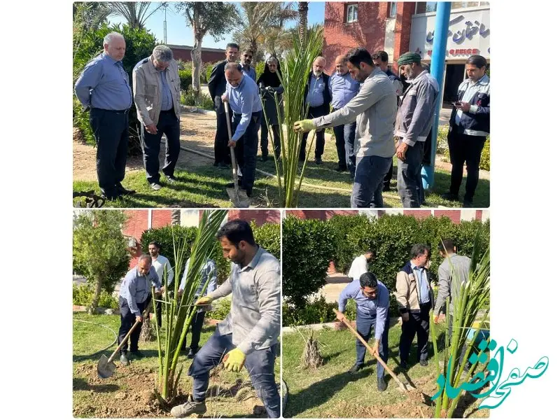 کاشت درختان مثمر و نخل در پتروشیمی فارابی