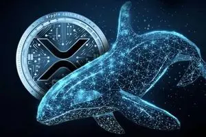 نهنگ ها ۳۶۰ میلیون واحد ریپل خریدند؛ آیا صعود بزرگی در پیش است؟