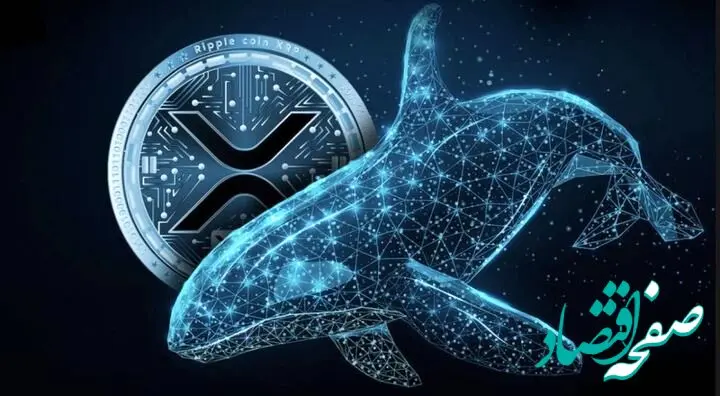 نهنگ ها ۳۶۰ میلیون واحد ریپل خریدند؛ آیا صعود بزرگی در پیش است؟