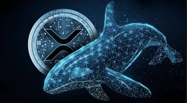 نهنگ ها ۳۶۰ میلیون واحد ریپل خریدند؛ آیا صعود بزرگی در پیش است؟