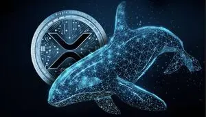 نهنگ ها ۳۶۰ میلیون واحد ریپل خریدند؛ آیا صعود بزرگی در پیش است؟