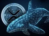 نهنگ ها ۳۶۰ میلیون واحد ریپل خریدند؛ آیا صعود بزرگی در پیش است؟