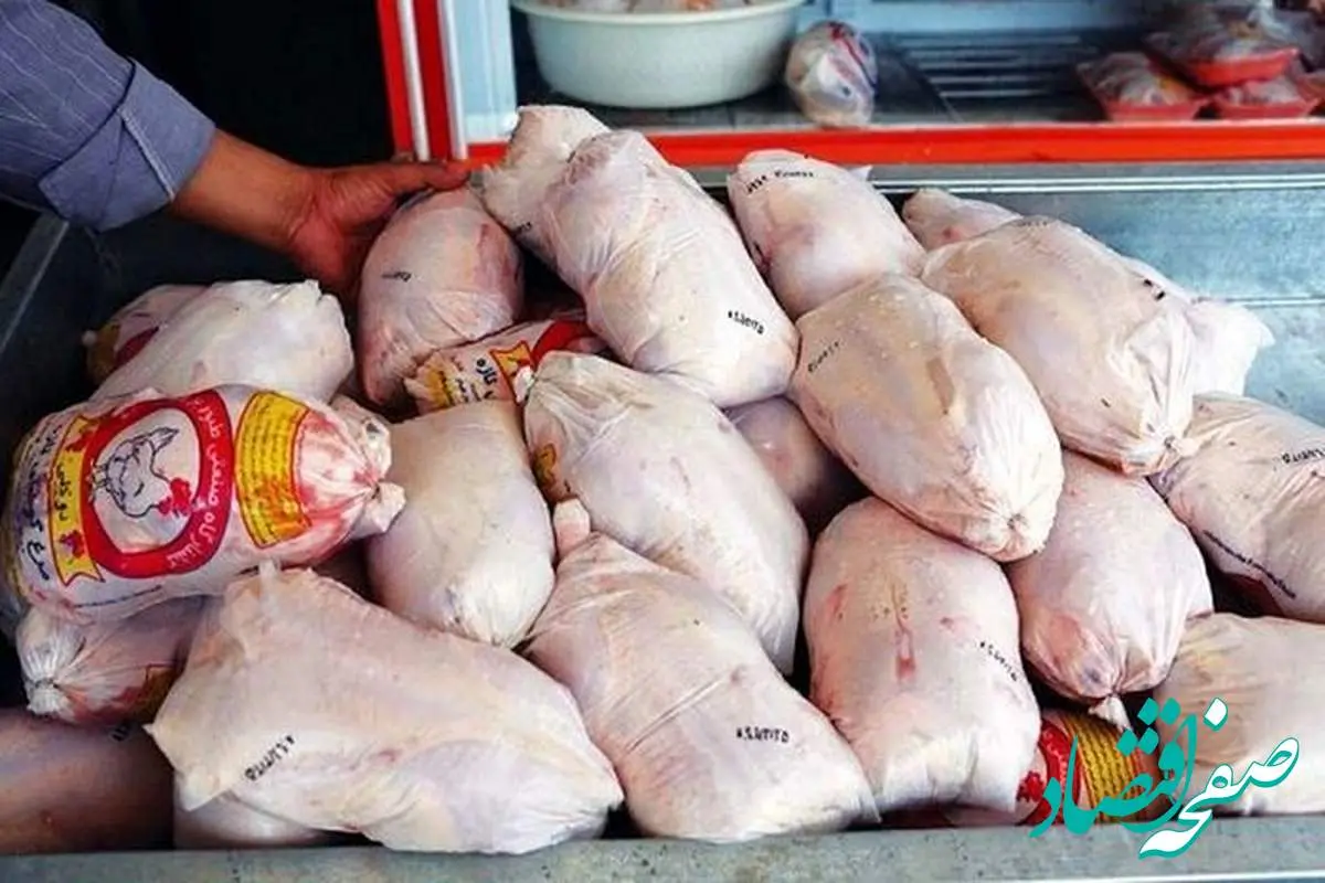 آیا تامین مرغ مورد نیاز بازار با مشکل روبرو شده است؟ | الان قیمت مرغ در بازار چقدر است؟ 
