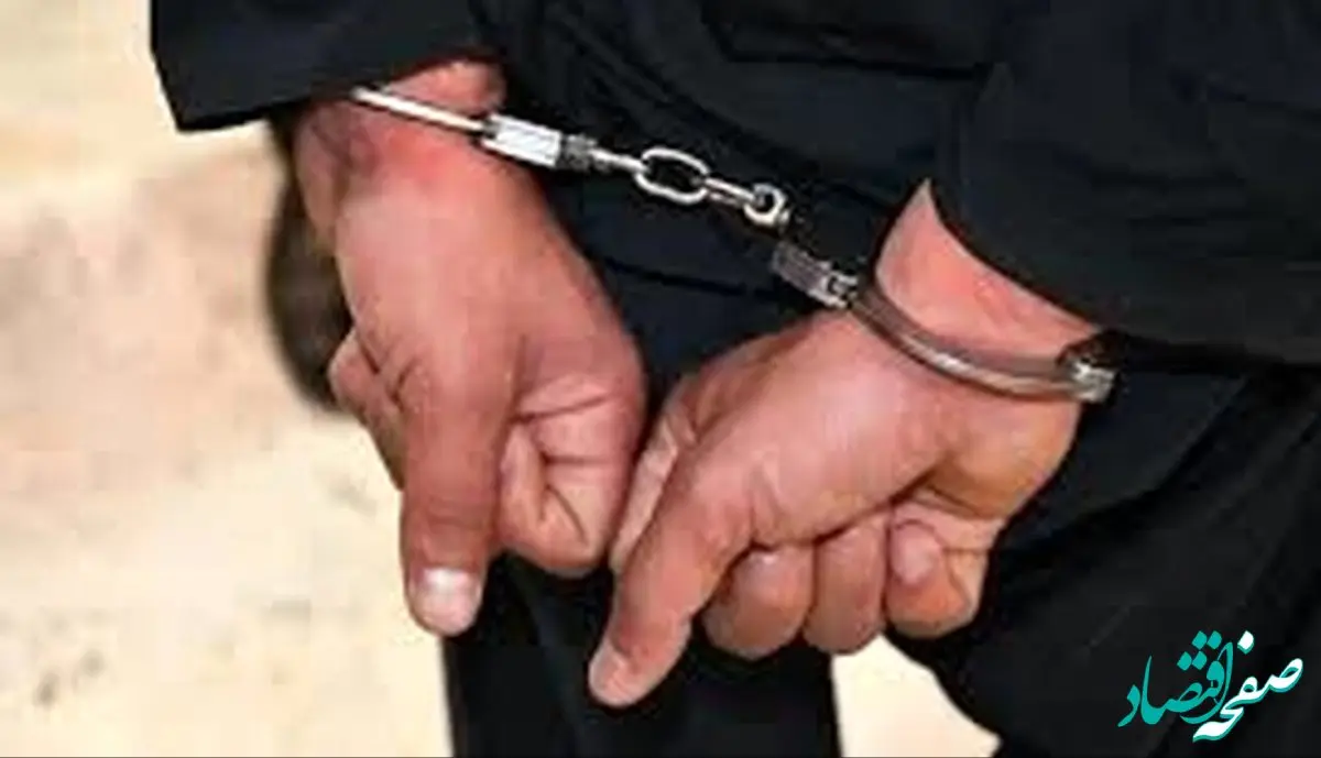 علت بازداشت شهردار صالحیه تهران چه بود؟ 